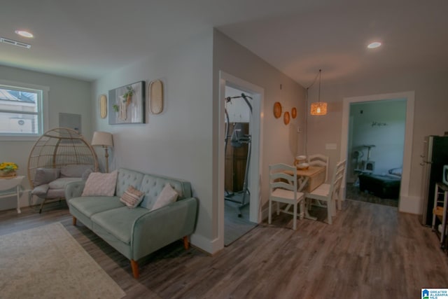 living room featuring hardwood / wood-style flooring