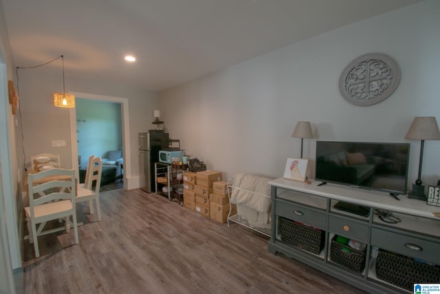 living room featuring wood-type flooring