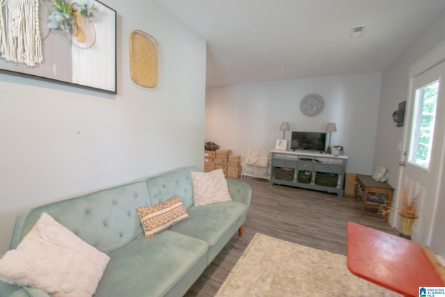 living room featuring wood-type flooring