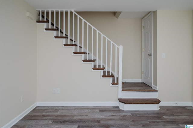 spare room with ceiling fan and dark hardwood / wood-style floors