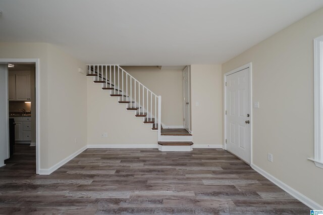 entrance foyer with wood-type flooring and sink