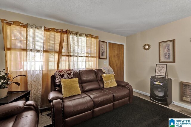 living room featuring a textured ceiling