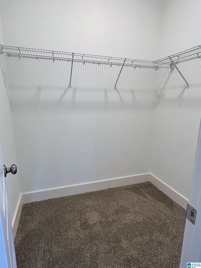 1465 Brooks Dr, Mount Olive, AL 35117 - spacious closet with dark carpet