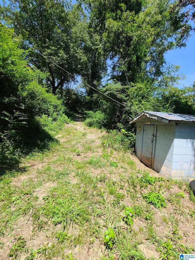 view of yard featuring a shed