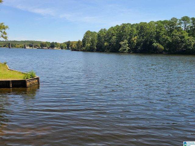 view of water feature