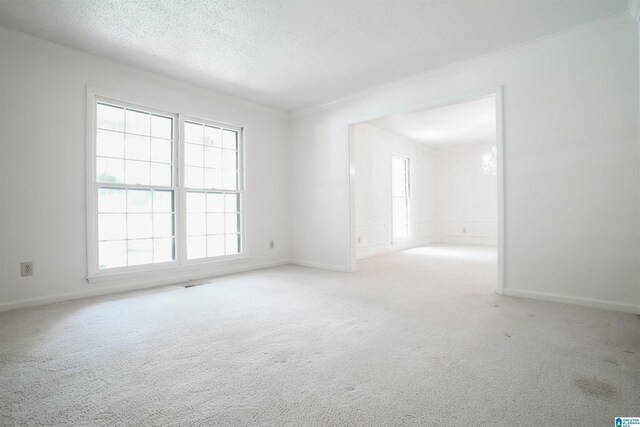 spare room featuring light carpet, ornamental molding, and a healthy amount of sunlight