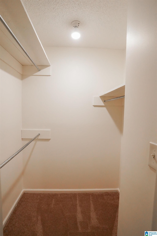 spacious closet with carpet flooring