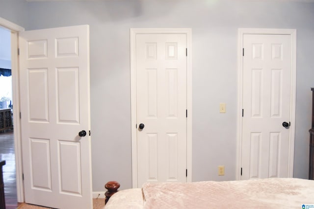 bedroom with two closets and wood-type flooring