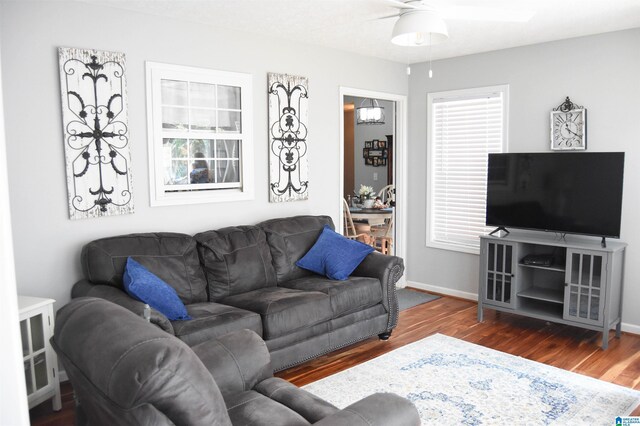 living room featuring dark hardwood / wood-style floors