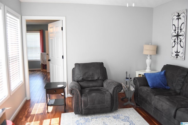 living room with dark hardwood / wood-style floors