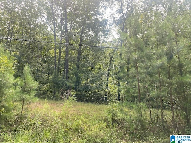 LOT3 N Walston Bridge Rd Unit 3, Jasper AL, 35504 land for sale