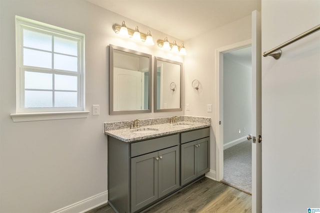 bathroom with dual vanity and hardwood / wood-style flooring