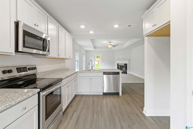 kitchen with white cabinets, appliances with stainless steel finishes, a raised ceiling, and sink