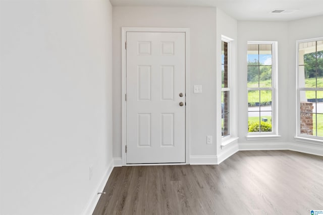 foyer entrance with a healthy amount of sunlight and dark hardwood / wood-style flooring