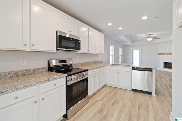 kitchen with stainless steel appliances, a tray ceiling, sink, a fireplace, and white cabinetry