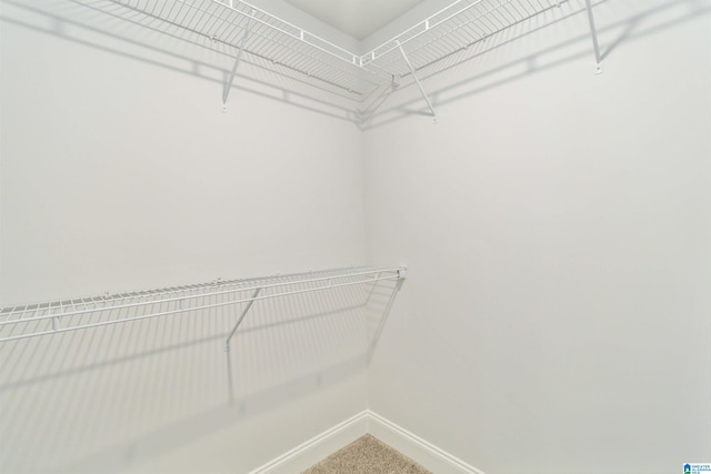 view of walk in closet