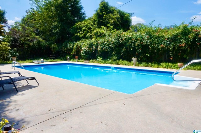 view of swimming pool featuring a patio area and a diving board