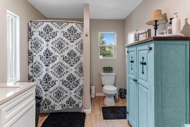 bathroom featuring toilet, wood finished floors, vanity, baseboards, and a closet