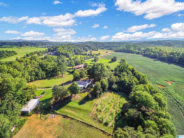 drone / aerial view featuring a rural view