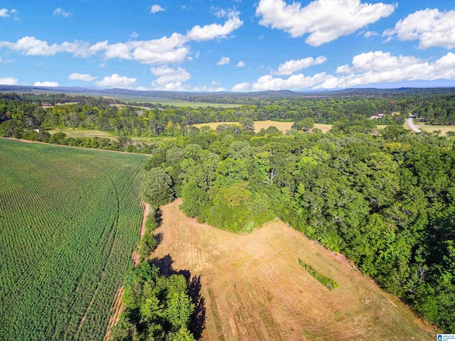 aerial view with a rural view