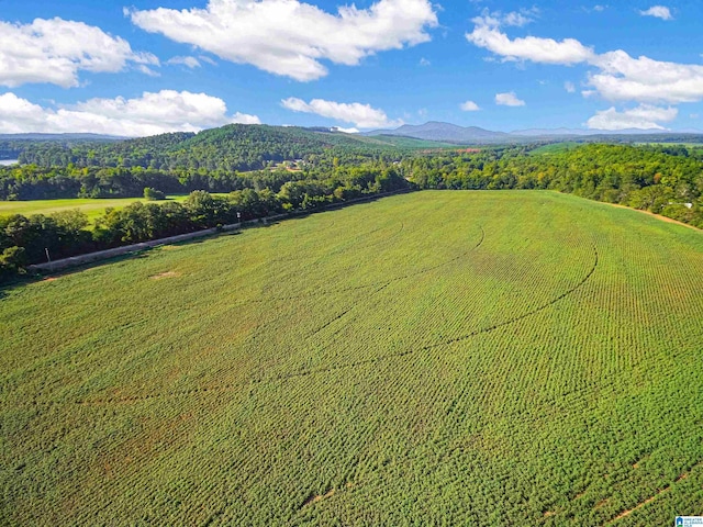 drone / aerial view featuring a rural view and a mountain view