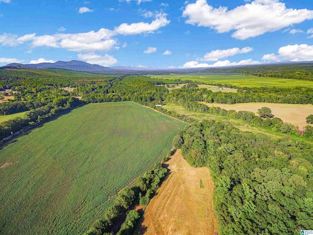 aerial view with a mountain view