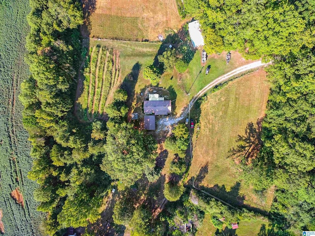 drone / aerial view featuring a rural view