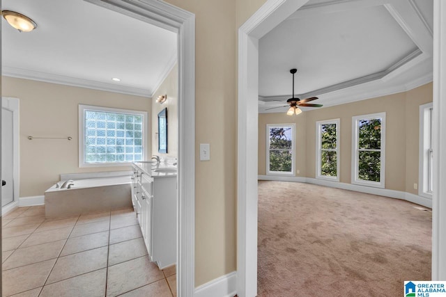 hallway with crown molding, light carpet, and a tray ceiling