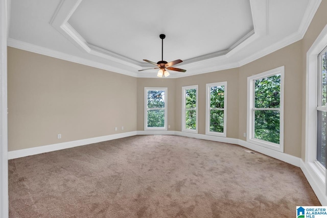 carpeted spare room featuring ceiling fan, crown molding, and a raised ceiling