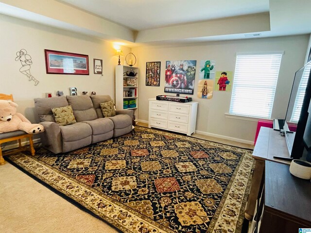 living room featuring a raised ceiling and carpet flooring