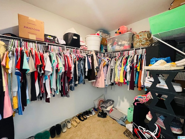 walk in closet with carpet flooring