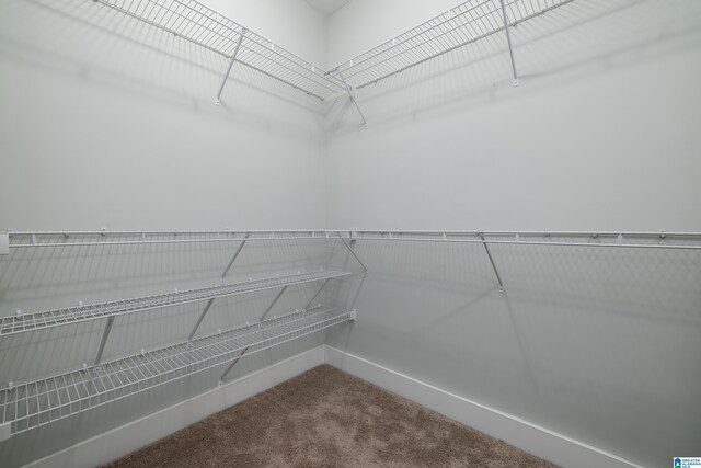 walk in closet featuring carpet