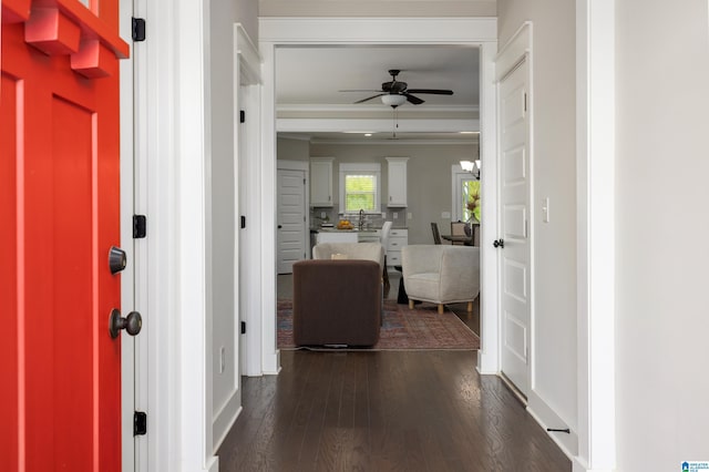 interior space featuring dark hardwood / wood-style flooring, ornamental molding, and ceiling fan