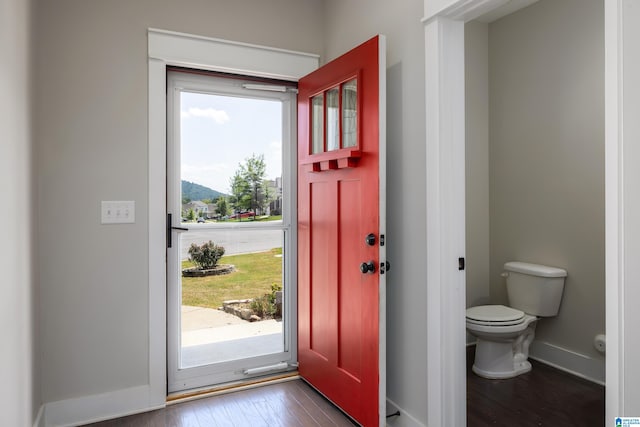 foyer with hardwood / wood-style flooring