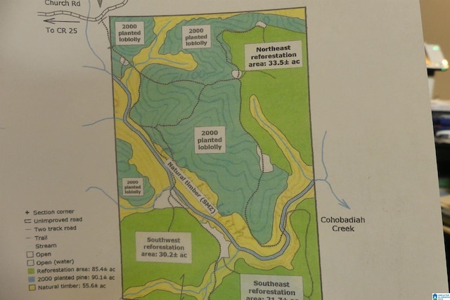 250ACRES County Road 540 Unit 00, Newell AL, 36280 land for sale