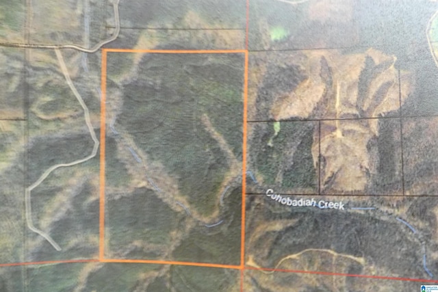 Listing photo 3 for 250ACRES County Road 540 Unit 00, Newell AL 36280