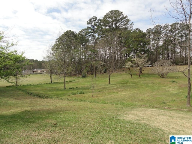 Listing photo 3 for 1624 Lake Dr NE Unit 1, Center Point AL 35215