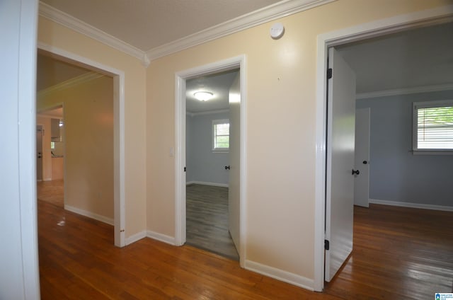 corridor featuring crown molding, a wealth of natural light, and dark hardwood / wood-style floors