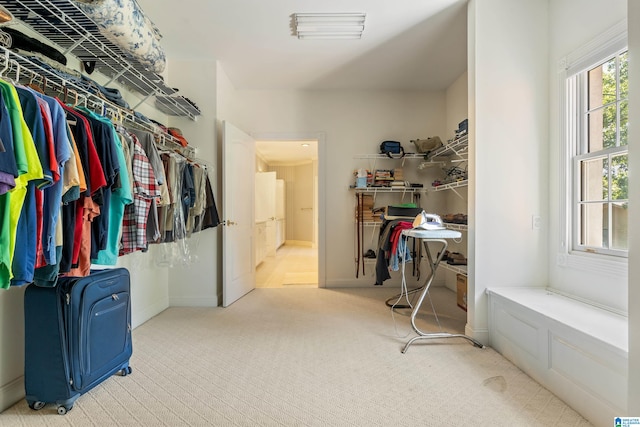 walk in closet featuring carpet flooring