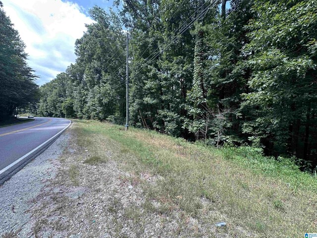 3413 15th Street Rd Unit 9, Bessemer AL, 35023 land for sale