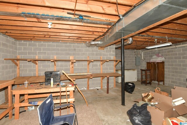 basement with electric panel