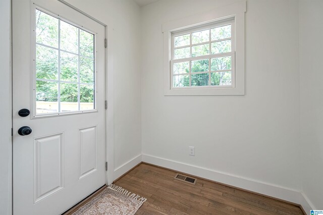 entryway with a wealth of natural light and hardwood / wood-style floors