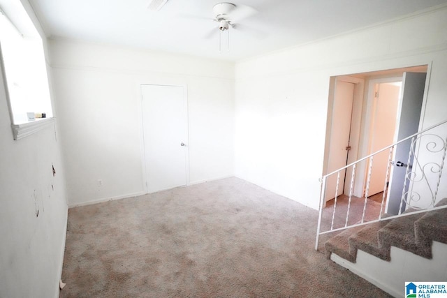 empty room with carpet flooring and ceiling fan