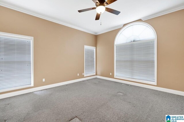 unfurnished room featuring ceiling fan, carpet flooring, and crown molding