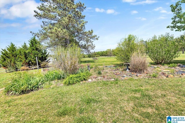 view of yard featuring a rural view