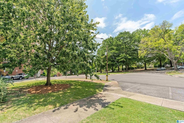 2701 11th Ave Unit 101, Birmingham, AL 35205 - view of asphalt road with street lights