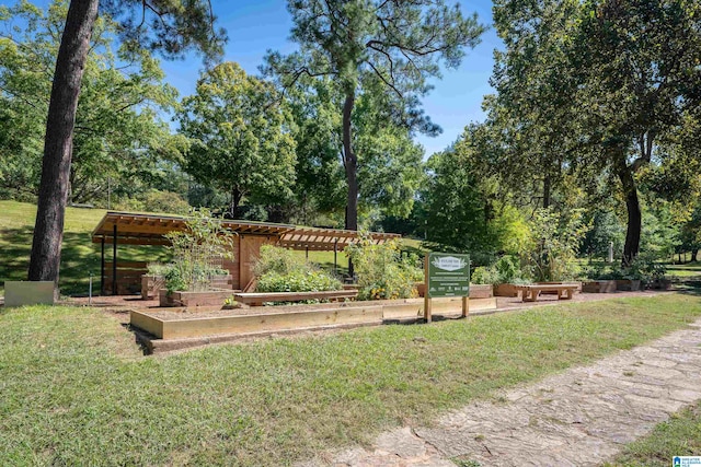 surrounding community with a pergola and a lawn