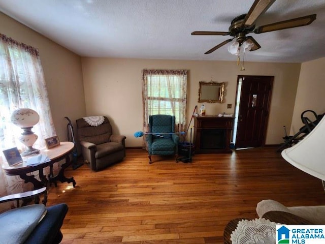 living room with ceiling fan and hardwood / wood-style floors