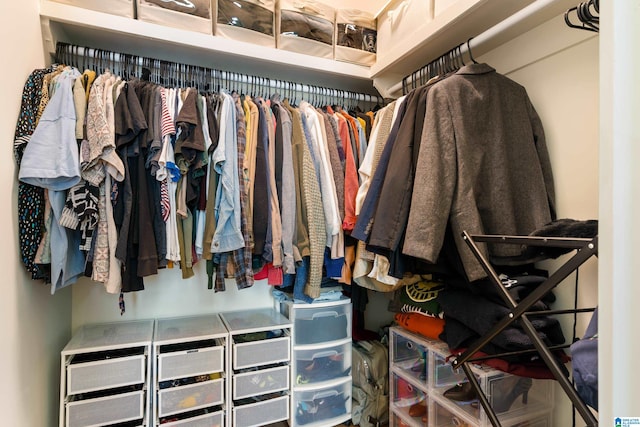 view of walk in closet