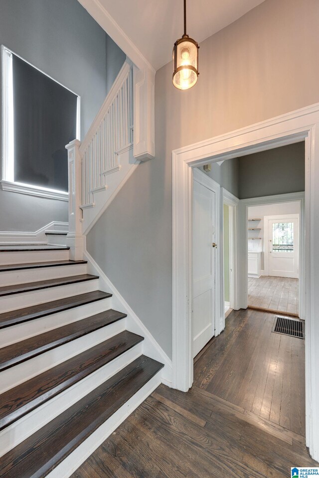 spare room with ceiling fan and wood-type flooring